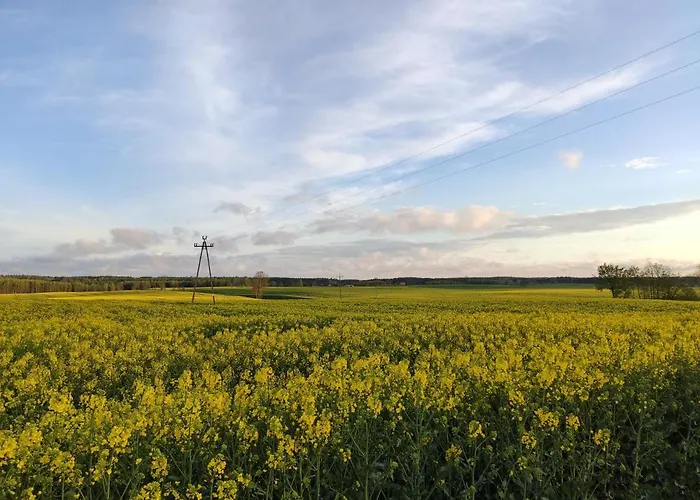 Semesterbostad Dom Nad Jeziorem